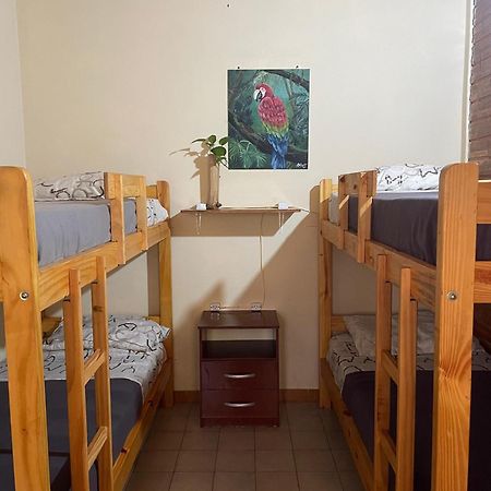 Bungalow Hostel Iguazu Porto Iguaçu Exterior foto